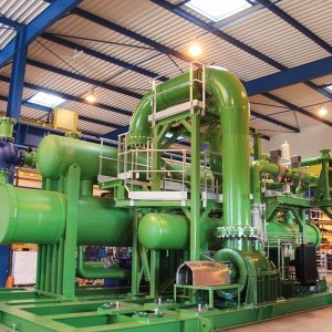 Kamyanets biomass cogeneration project (Ukraine)