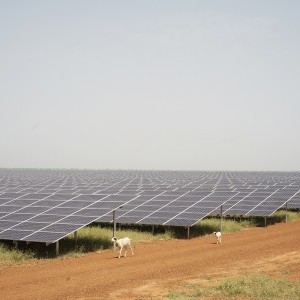 Senergy 2 (Senegal)